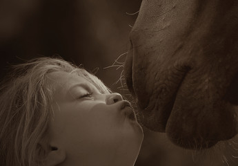 Girl kissing a horse close up
