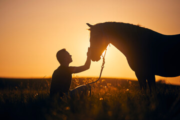 Horses can be a strong healing force