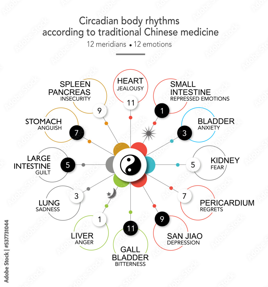 This is an example of a Chinese map to feelings in the body.