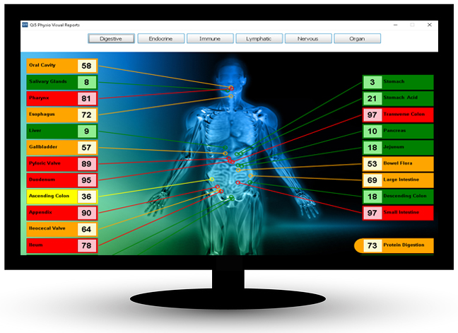 The system provides a full body report