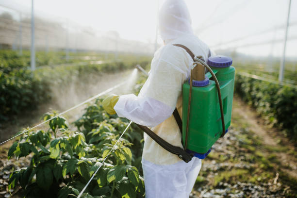 The use of pesticides on produce can lead to health issues