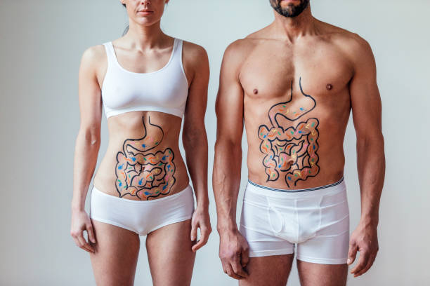 Digestive health impacts how well nutrients are dispersed in the body